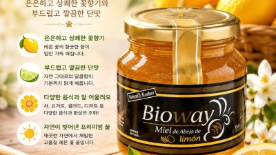 건강하고 달달한 스낵✨ Datiles Premium, Naranja con Chocolate Amargo✨